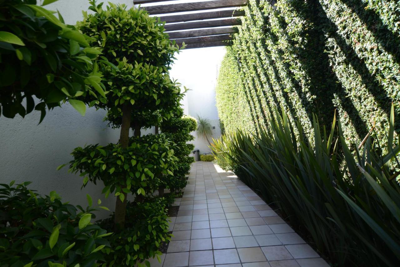 Suites La Fe Oaxaca Kültér fotó